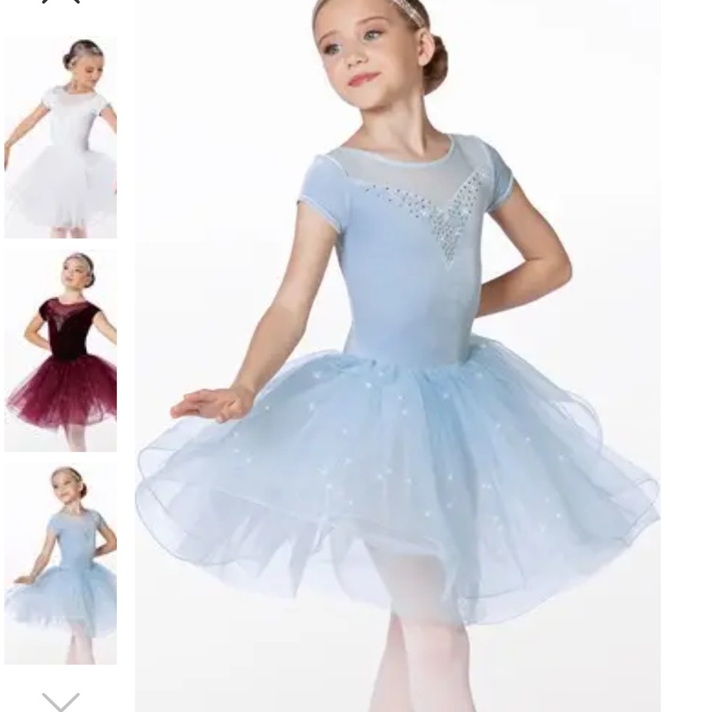 Weissman Showtime - 14133 Edelweiss